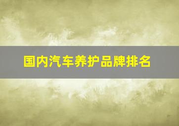 国内汽车养护品牌排名