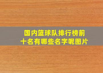 国内篮球队排行榜前十名有哪些名字呢图片