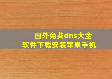 国外免费dns大全软件下载安装苹果手机