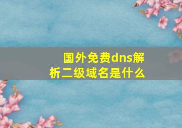 国外免费dns解析二级域名是什么