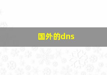 国外的dns