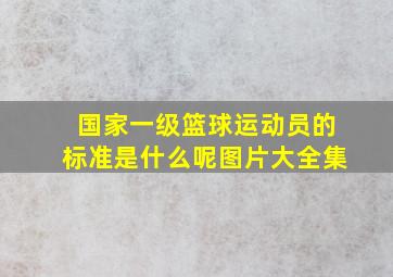 国家一级篮球运动员的标准是什么呢图片大全集