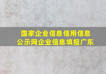 国家企业信息信用信息公示网企业信息填报广东