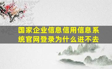 国家企业信息信用信息系统官网登录为什么进不去