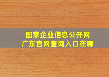 国家企业信息公开网广东官网查询入口在哪