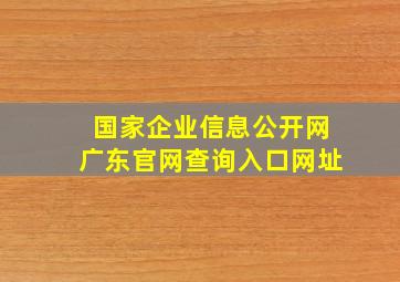 国家企业信息公开网广东官网查询入口网址