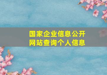 国家企业信息公开网站查询个人信息