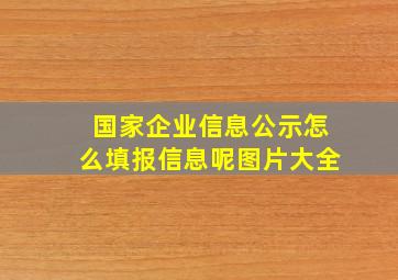 国家企业信息公示怎么填报信息呢图片大全