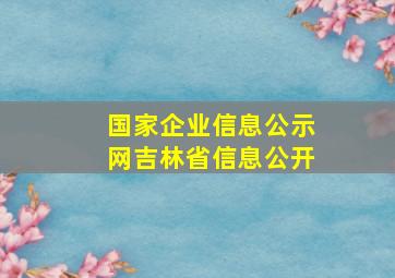 国家企业信息公示网吉林省信息公开