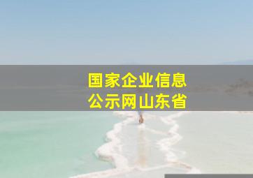 国家企业信息公示网山东省