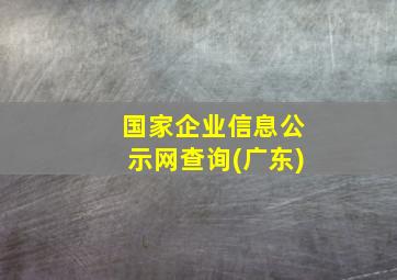 国家企业信息公示网查询(广东)