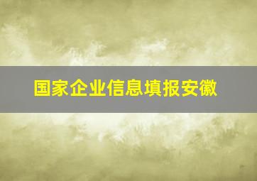 国家企业信息填报安徽