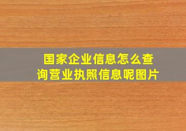 国家企业信息怎么查询营业执照信息呢图片