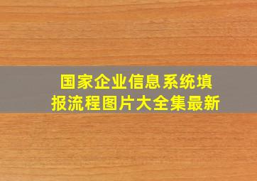 国家企业信息系统填报流程图片大全集最新