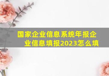 国家企业信息系统年报企业信息填报2023怎么填