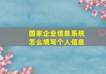 国家企业信息系统怎么填写个人信息