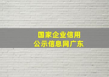 国家企业信用公示信息网广东