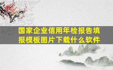 国家企业信用年检报告填报模板图片下载什么软件