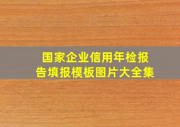 国家企业信用年检报告填报模板图片大全集