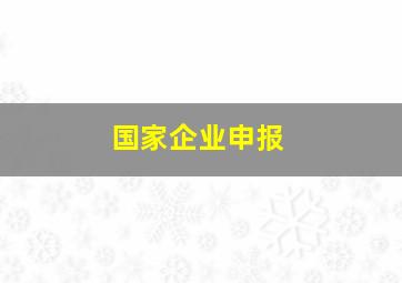 国家企业申报