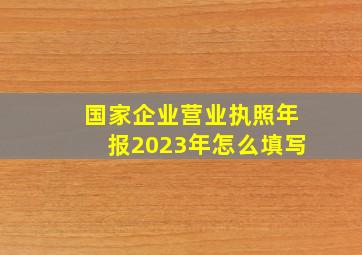 国家企业营业执照年报2023年怎么填写