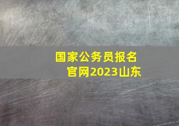 国家公务员报名官网2023山东