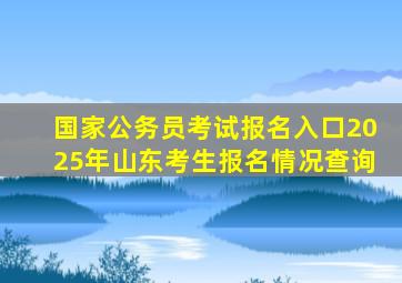 国家公务员考试报名入口2025年山东考生报名情况查询