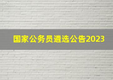 国家公务员遴选公告2023