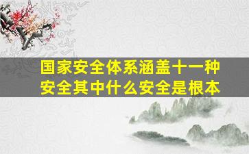 国家安全体系涵盖十一种安全其中什么安全是根本