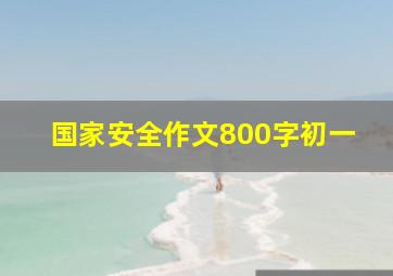 国家安全作文800字初一