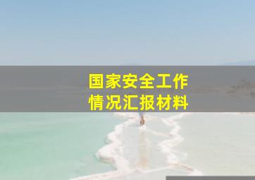 国家安全工作情况汇报材料