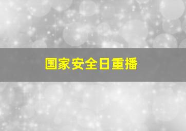 国家安全日重播