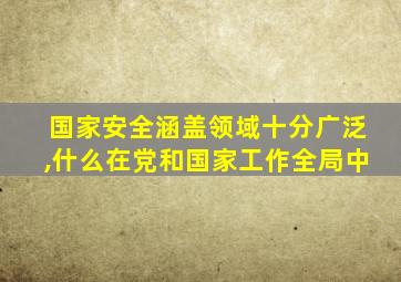 国家安全涵盖领域十分广泛,什么在党和国家工作全局中