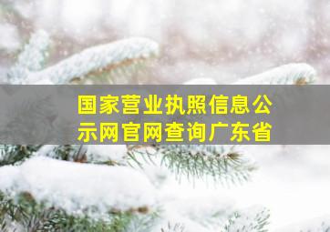 国家营业执照信息公示网官网查询广东省