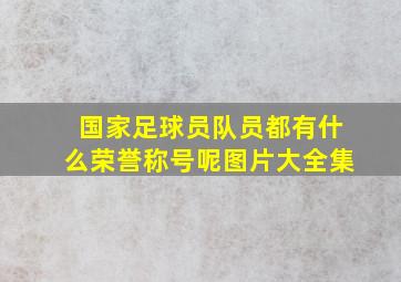 国家足球员队员都有什么荣誉称号呢图片大全集