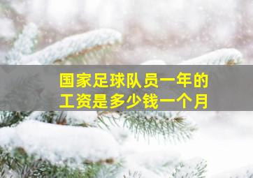 国家足球队员一年的工资是多少钱一个月