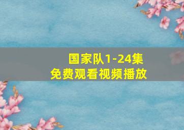 国家队1-24集免费观看视频播放