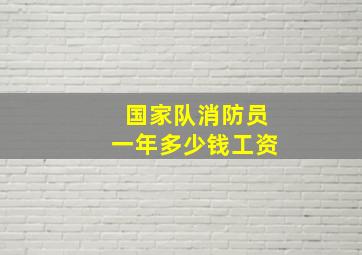 国家队消防员一年多少钱工资