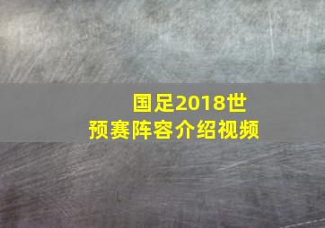 国足2018世预赛阵容介绍视频