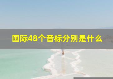 国际48个音标分别是什么