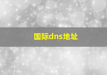 国际dns地址