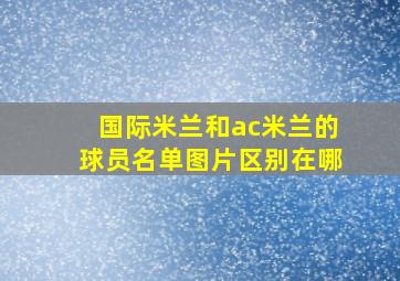 国际米兰和ac米兰的球员名单图片区别在哪