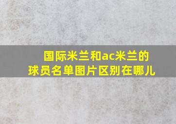 国际米兰和ac米兰的球员名单图片区别在哪儿