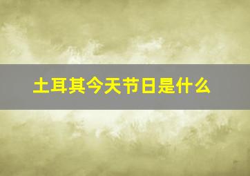 土耳其今天节日是什么