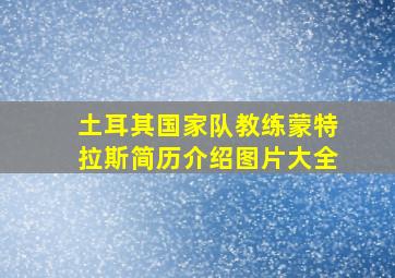 土耳其国家队教练蒙特拉斯简历介绍图片大全