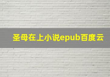 圣母在上小说epub百度云