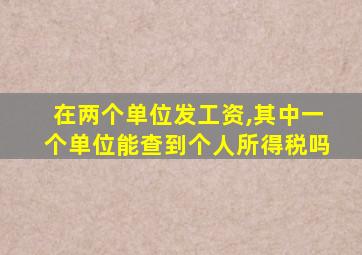 在两个单位发工资,其中一个单位能查到个人所得税吗