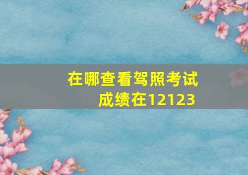 在哪查看驾照考试成绩在12123