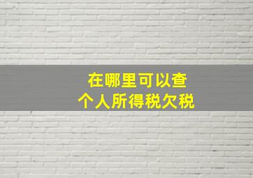 在哪里可以查个人所得税欠税