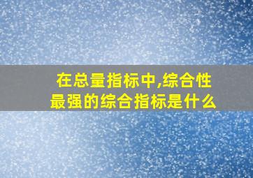 在总量指标中,综合性最强的综合指标是什么